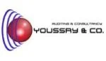 Youssry & Co. Auditing & Consultancy