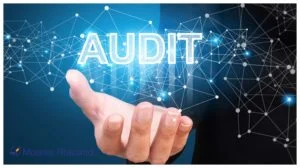 Banking sector audit