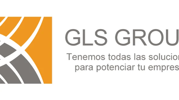 GLS Consulting Group