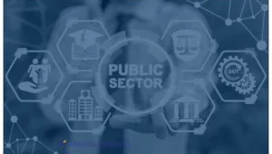 Public Sector